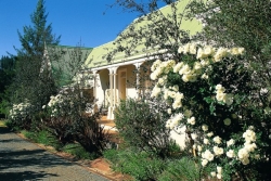 Guest Houses