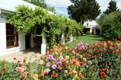 Our extensive garden